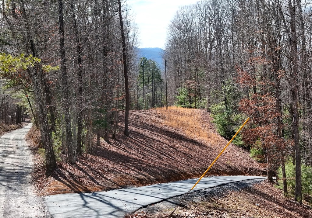 Fannin, Georgia 30560, ,Acreage,For Sale,10361