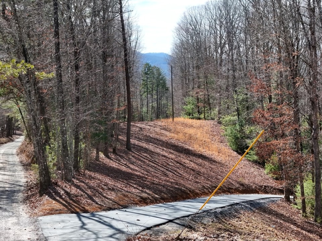 Fannin, Georgia 30560, ,Acreage,For Sale,10361
