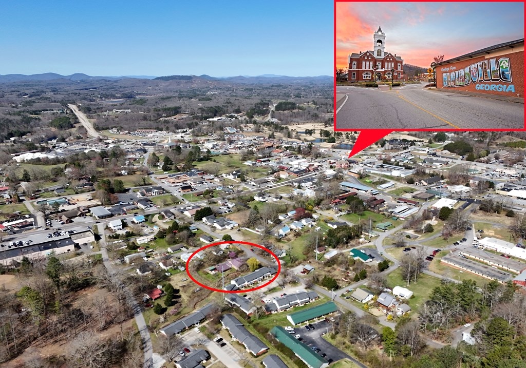 Blairsville, Georgia 30512, ,Commercial,For Sale,10362