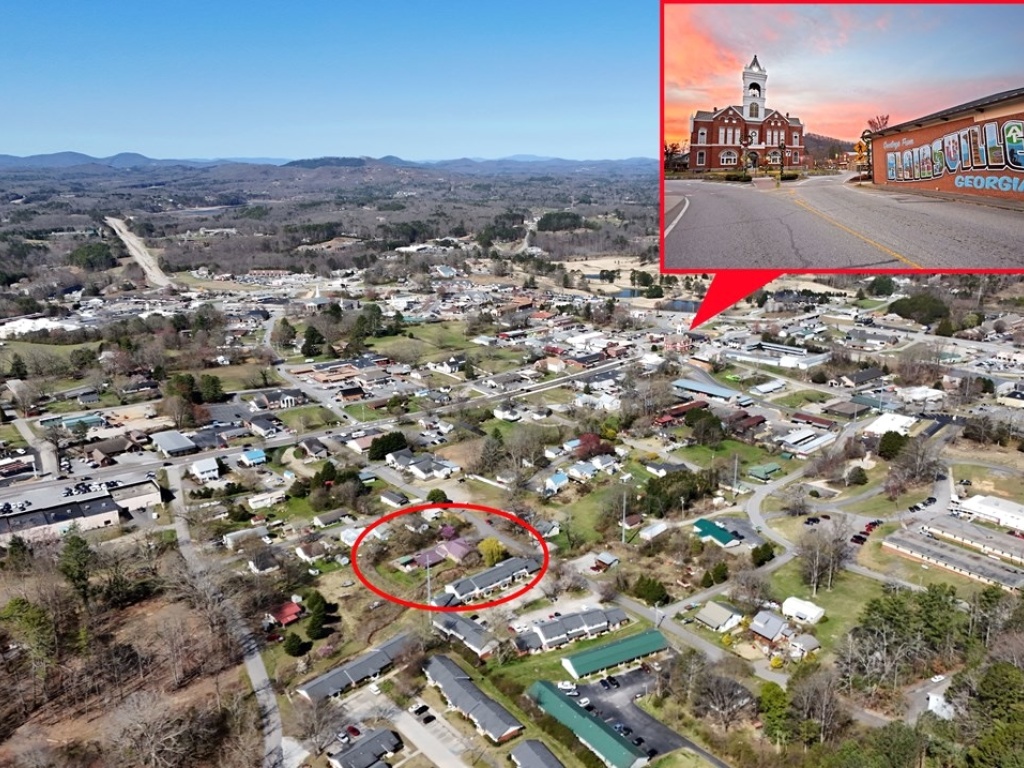 Blairsville, Georgia 30512, ,Commercial,For Sale,10362