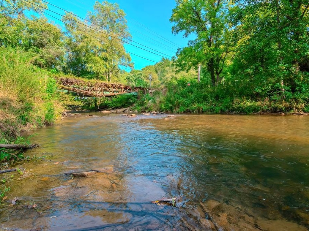 Mineral Bluff, Georgia 30559, ,Acreage,For Sale,10368