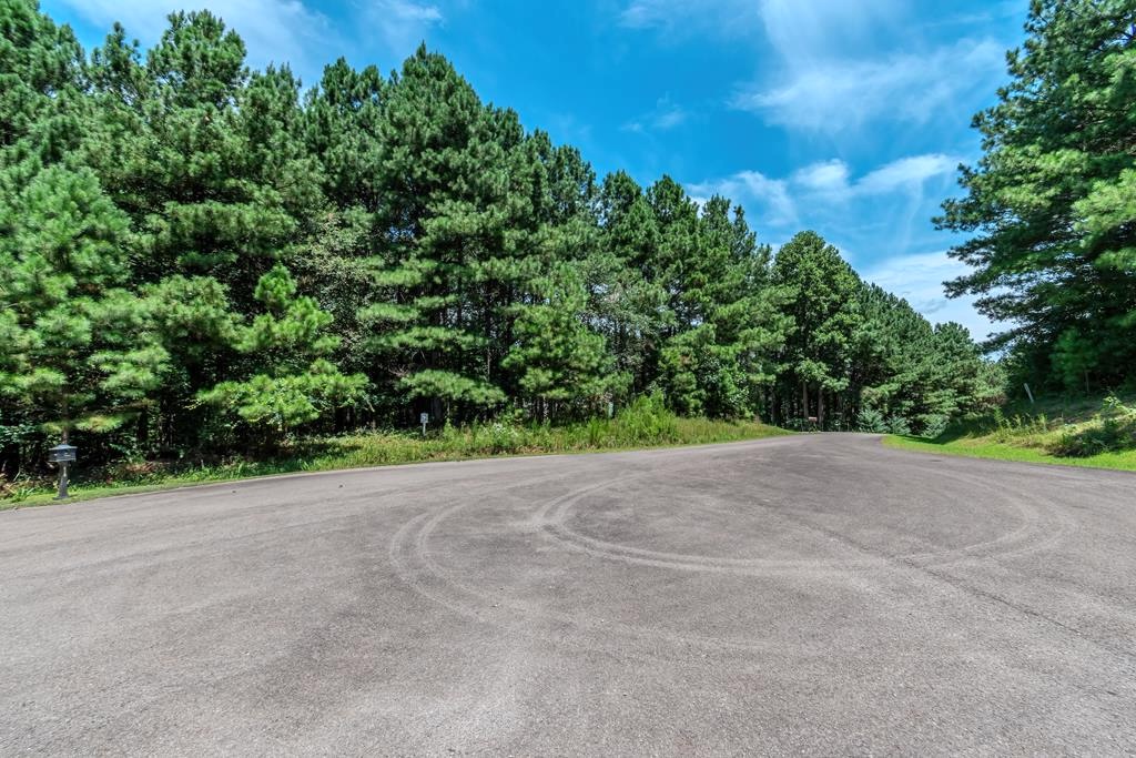 Ellijay, Georgia 30536, ,Acreage,For Sale,10369