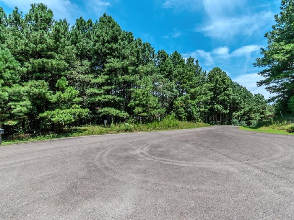 Ellijay, Georgia 30536, ,Acreage,For Sale,10369