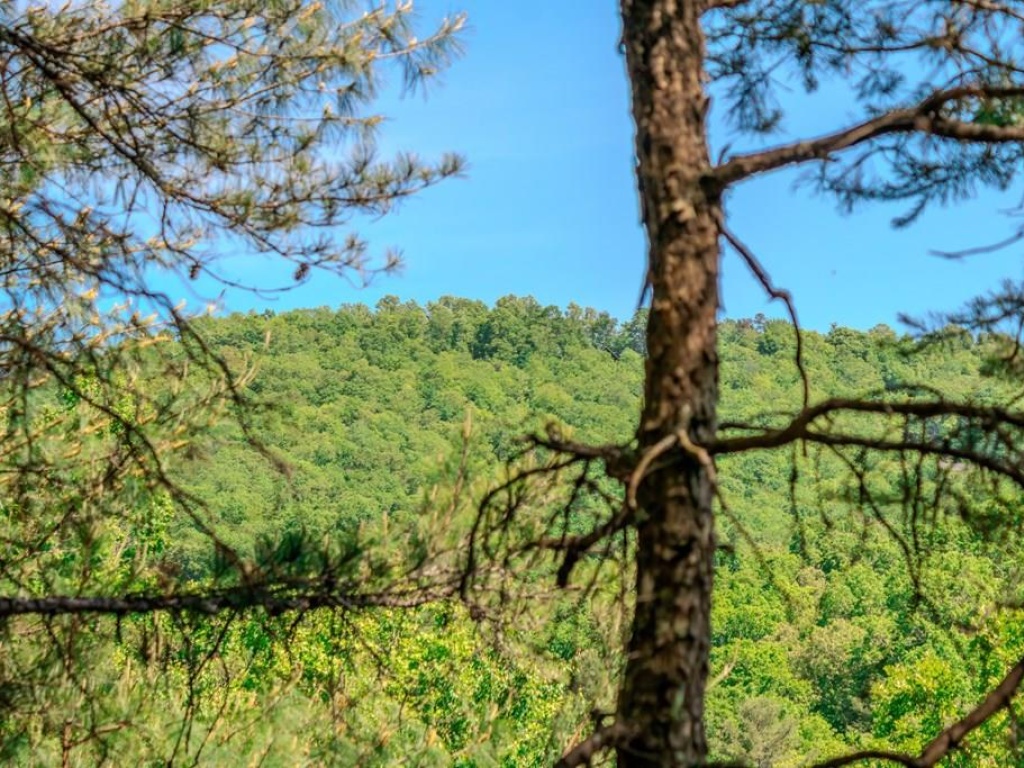 Mineral Bluff, Georgia 30559, ,Acreage,For Sale,10370