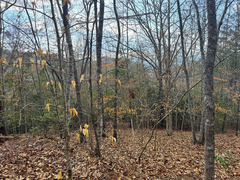 Franklin, North Carolina 28734, ,Acreage,For Sale,10402