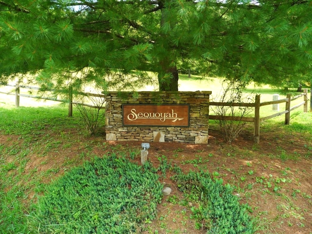 Franklin, North Carolina 28734, ,Acreage,For Sale,10403