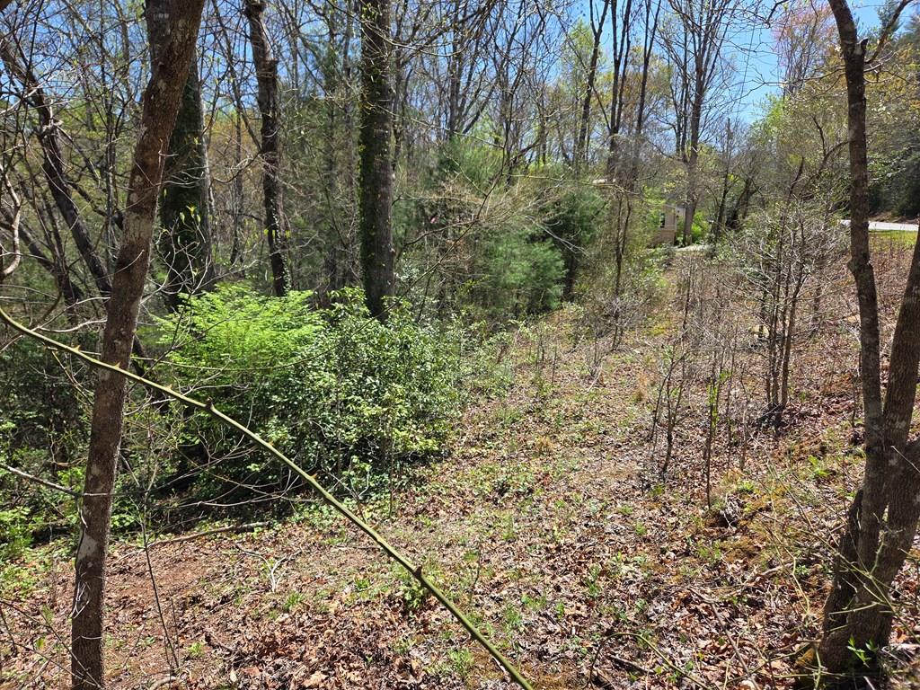 Franklin, North Carolina 28734, ,Acreage,For Sale,10409