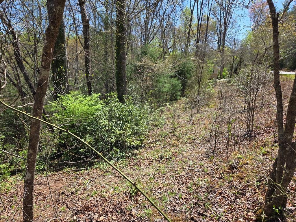 Franklin, North Carolina 28734, ,Acreage,For Sale,10409