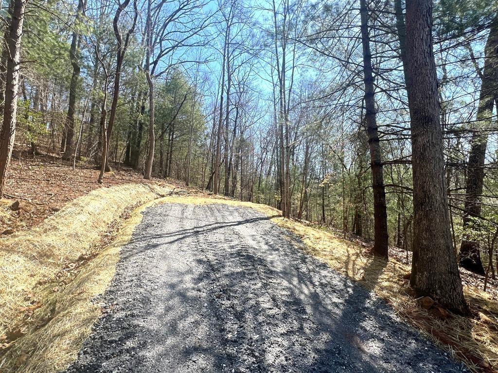 Franklin, North Carolina 28734, ,Acreage,For Sale,10423