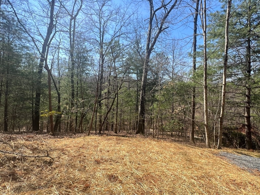 Franklin, North Carolina 28734, ,Acreage,For Sale,10423