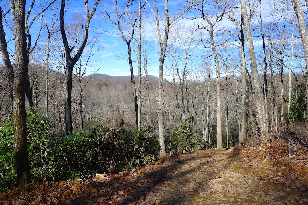 Cashiers, North Carolina 28717, ,Acreage,For Sale,10440