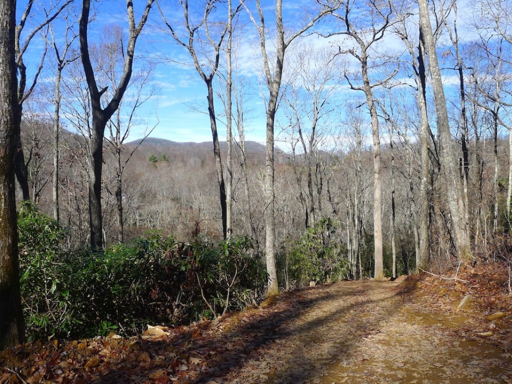 Cashiers, North Carolina 28717, ,Acreage,For Sale,10440