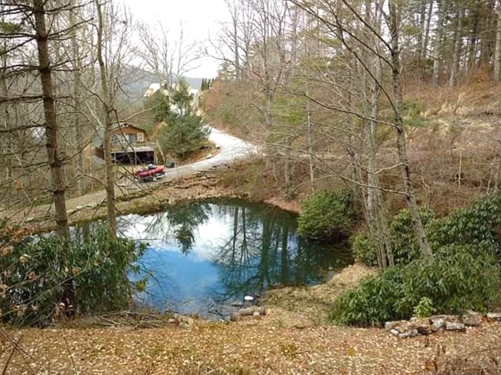 Glenville, North Carolina 28736, ,Acreage,For Sale,10442