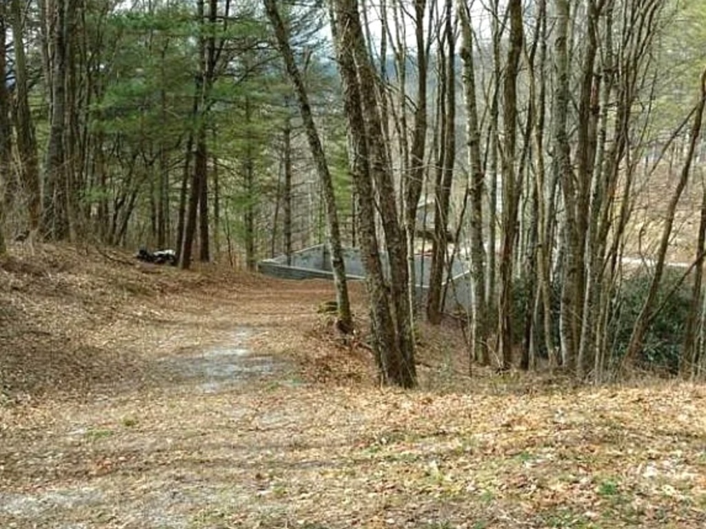 Glenville, North Carolina 28736, ,Acreage,For Sale,10442