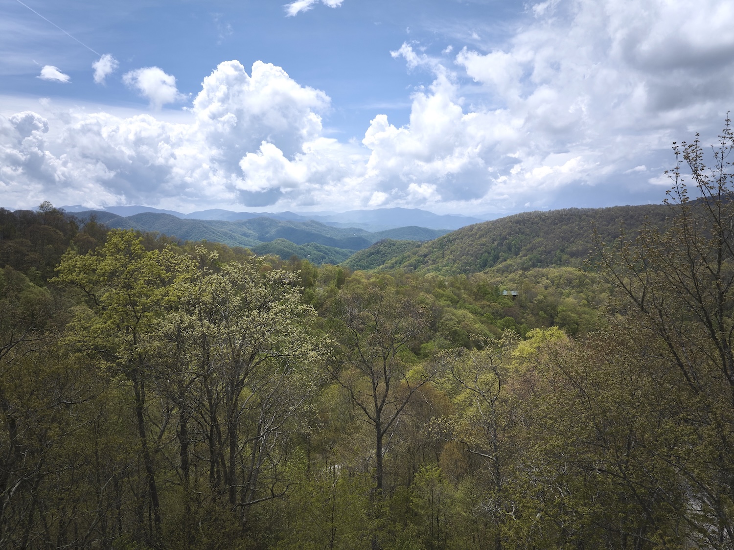 Bryson City, North Carolina 28713, ,Acreage,For Sale,10464