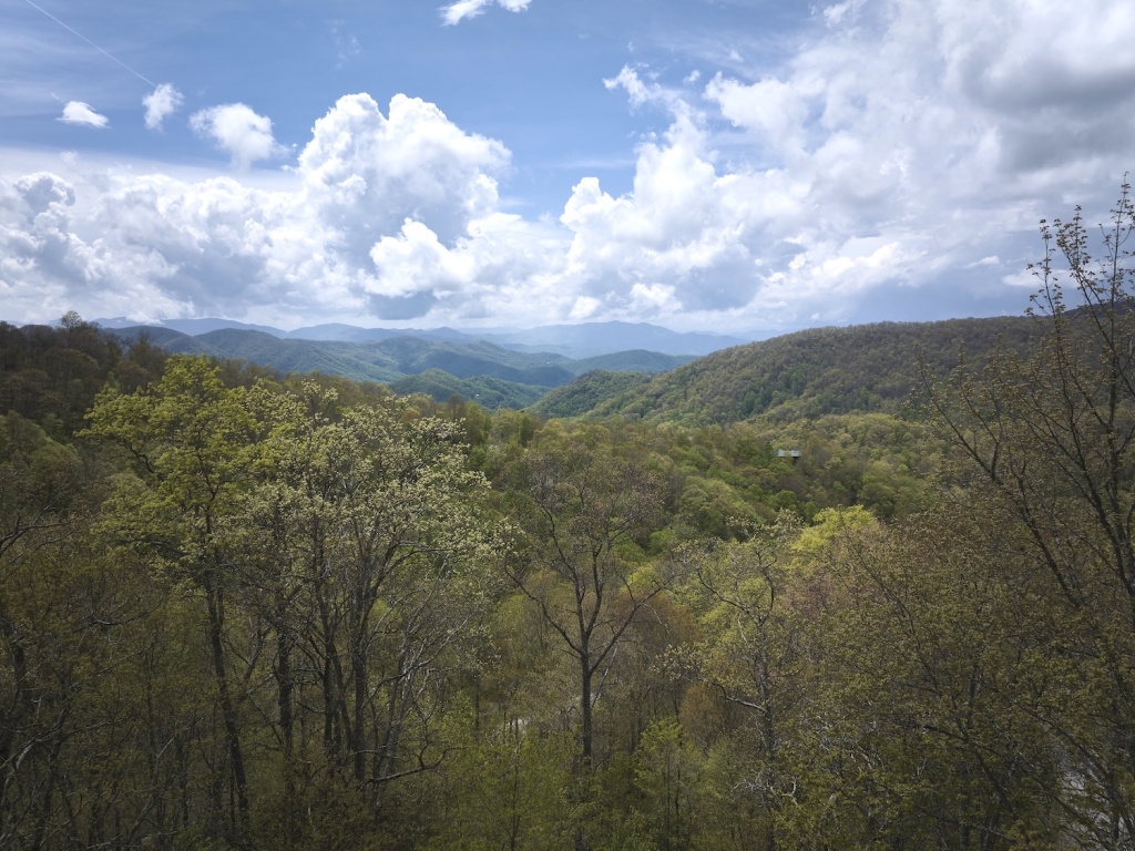 Bryson City, North Carolina 28713, ,Acreage,For Sale,10464