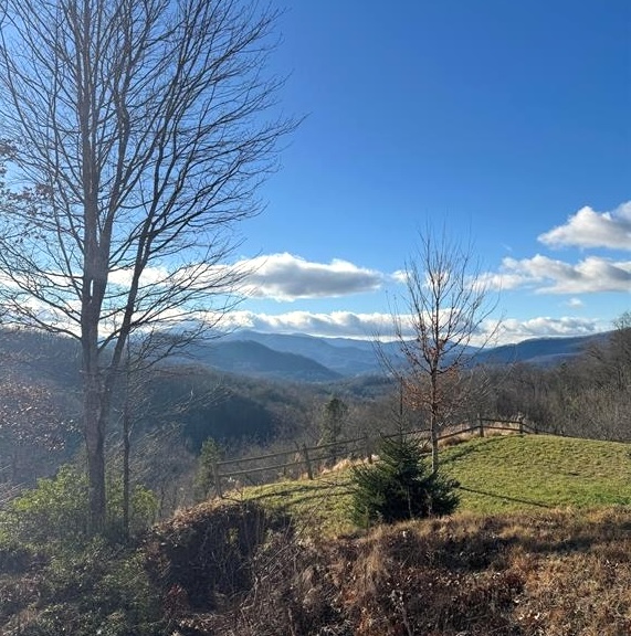 Sylva, North Carolina 28779, ,Acreage,For Sale,10468