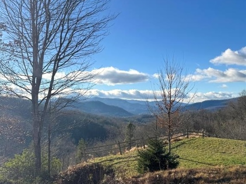 Sylva, North Carolina 28779, ,Acreage,For Sale,10468