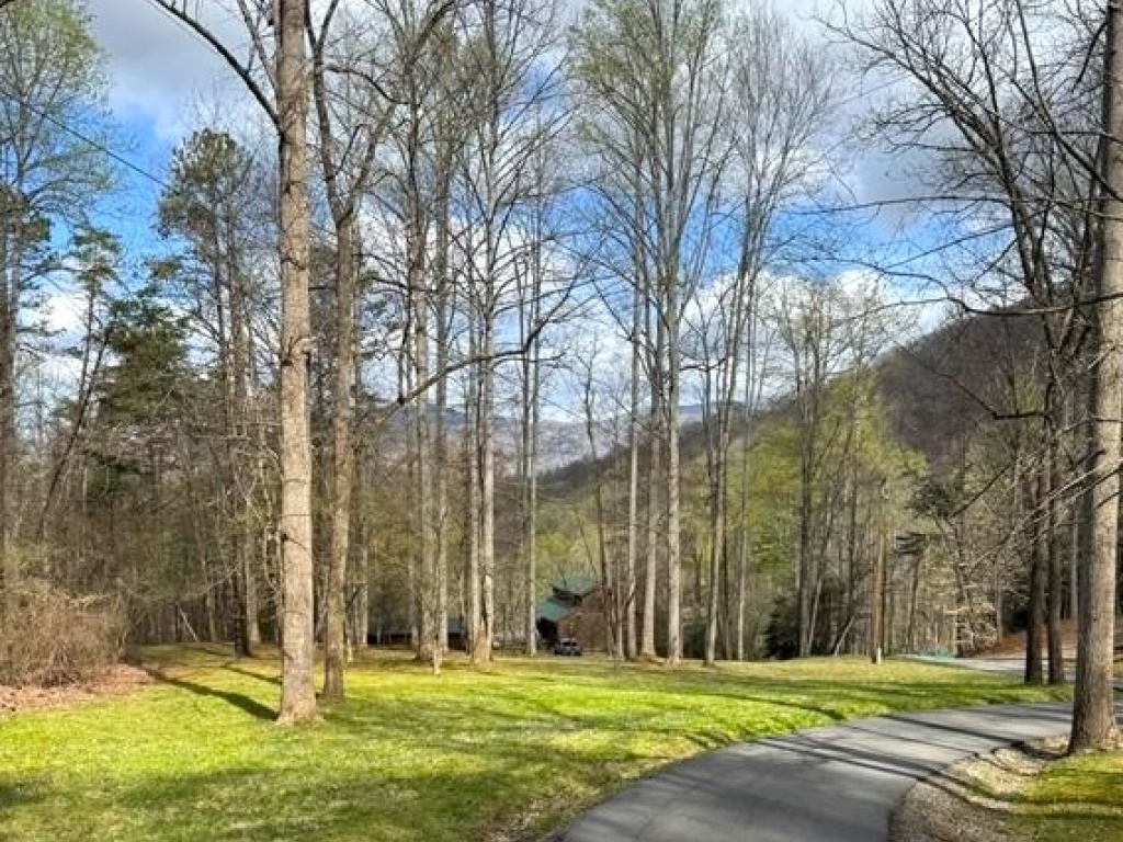 Sylva, North Carolina 28779, ,Acreage,For Sale,10469