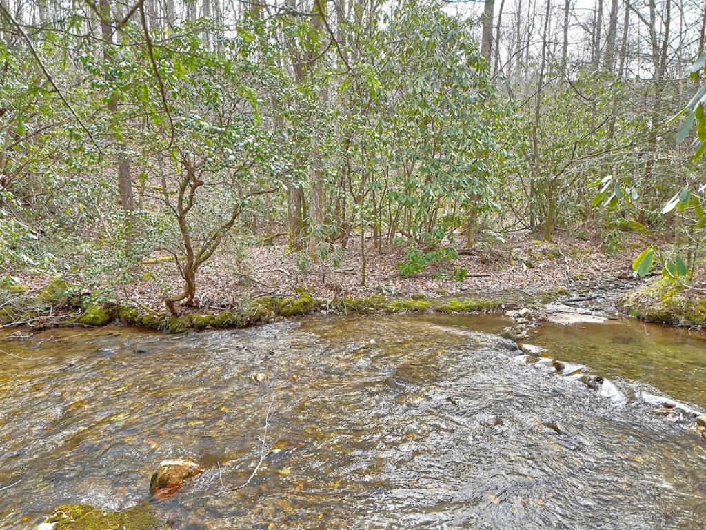 Rabun Gap, Georgia 30568, 3 Bedrooms Bedrooms, ,3 BathroomsBathrooms,Residential,For Sale,10477