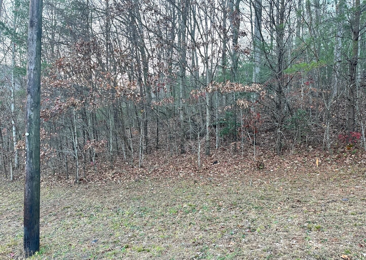 Mountain City, Georgia 30562, ,Acreage,For Sale,10479
