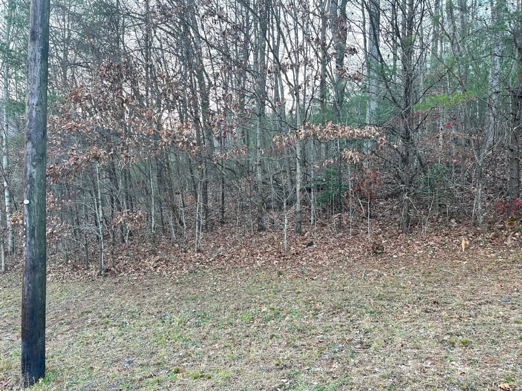 Mountain City, Georgia 30562, ,Acreage,For Sale,10479