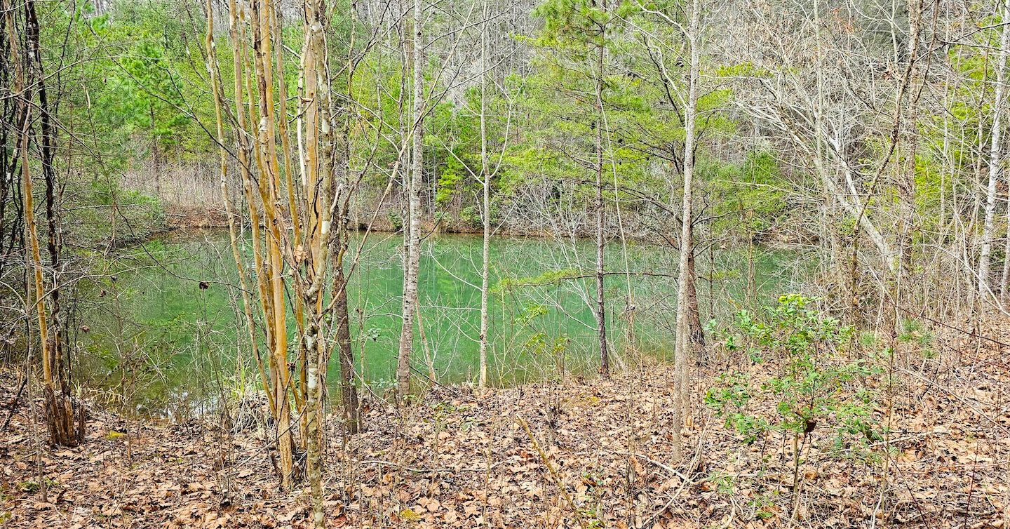 Clayton, Georgia 30525, ,Acreage,For Sale,10504