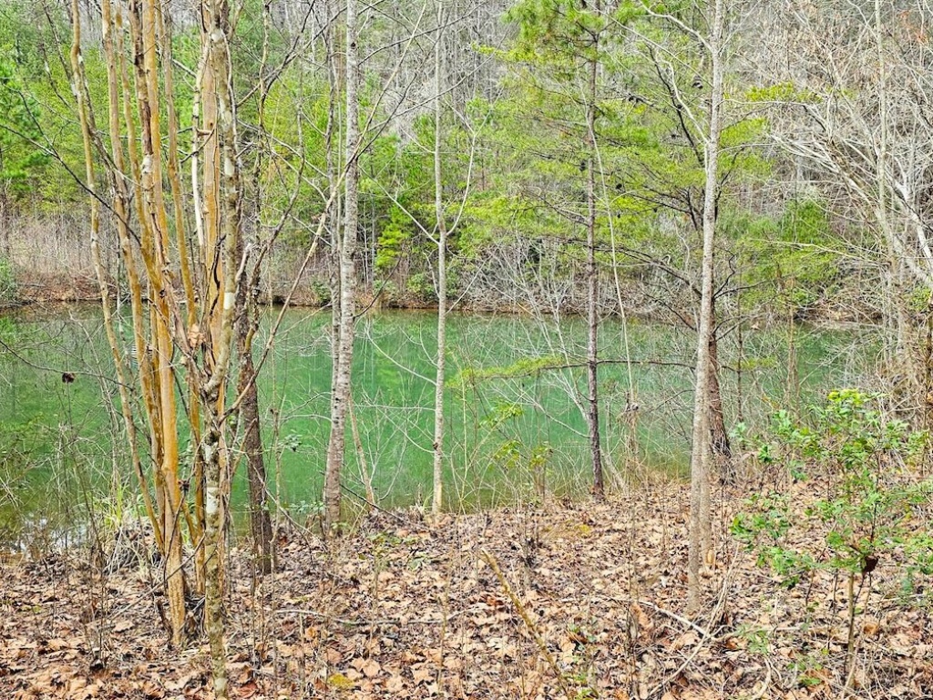 Clayton, Georgia 30525, ,Acreage,For Sale,10504