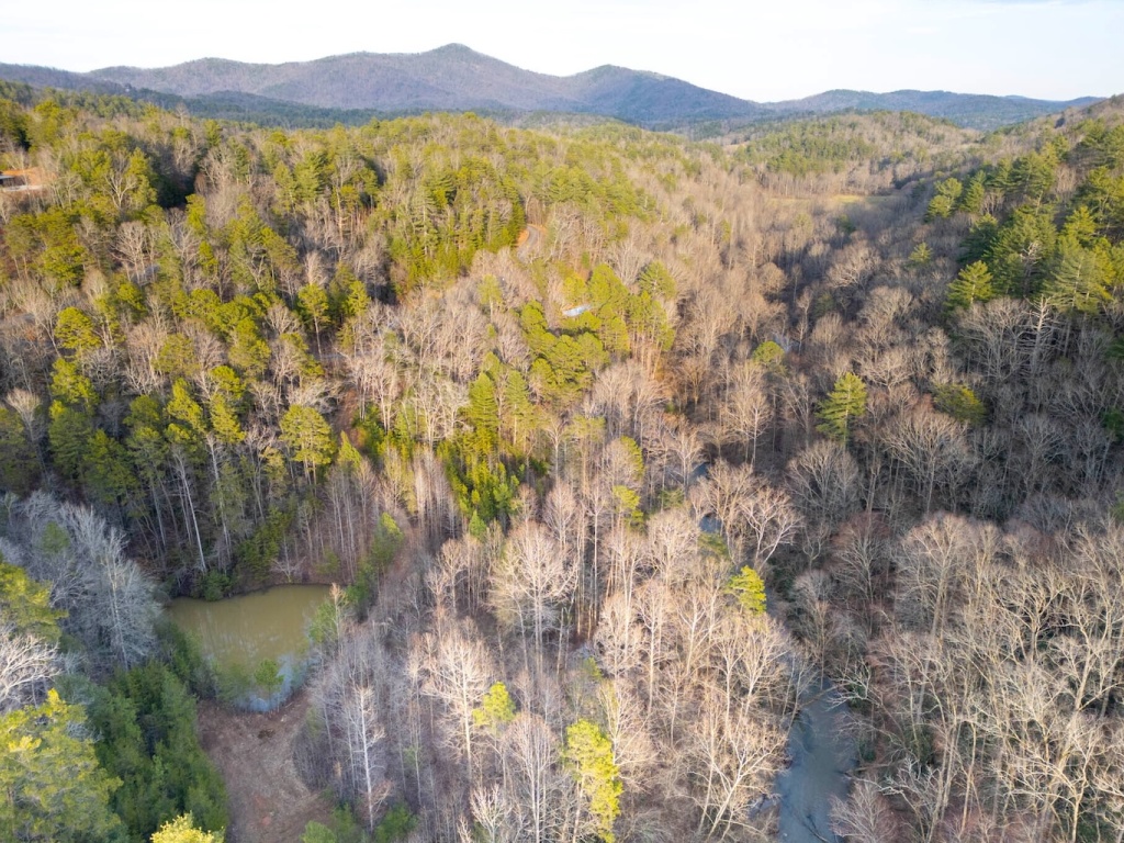 Clayton, Georgia 30525, ,Acreage,For Sale,10504