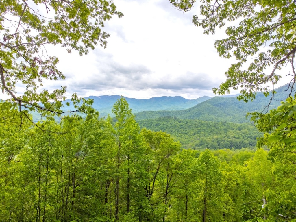 Franklin, North Carolina 28734, 2 Bedrooms Bedrooms, ,3 BathroomsBathrooms,Residential,For Sale,10518
