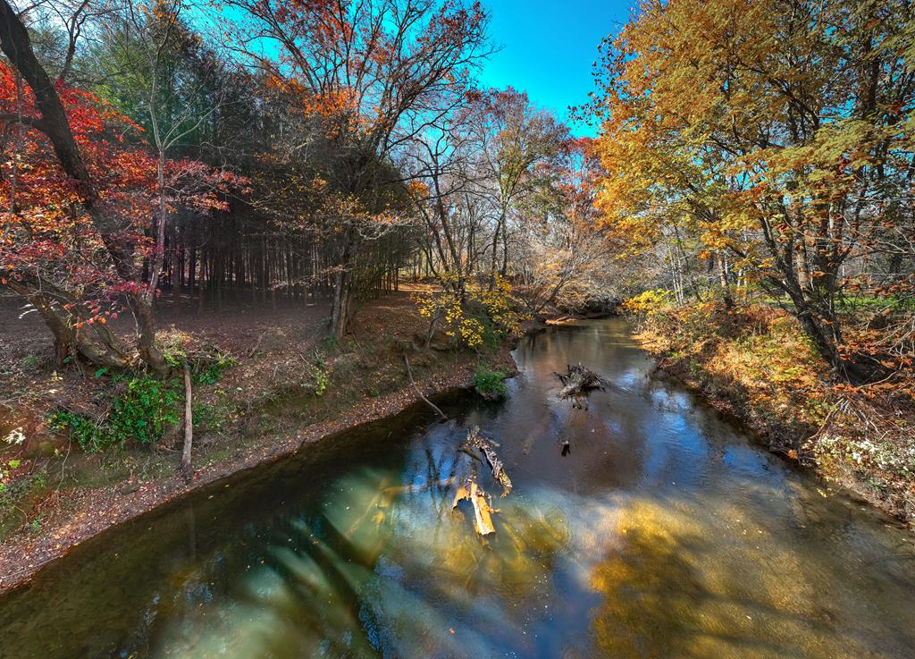 Franklin, North Carolina 28734, ,Acreage,For Sale,10532