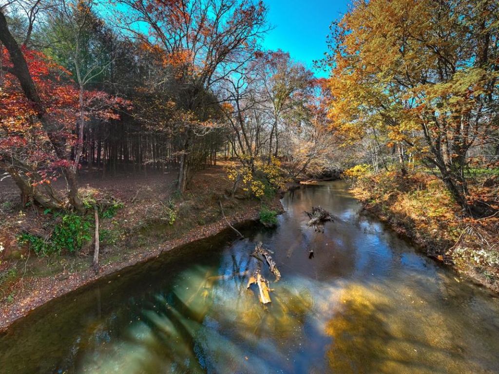 Franklin, North Carolina 28734, ,Acreage,For Sale,10532