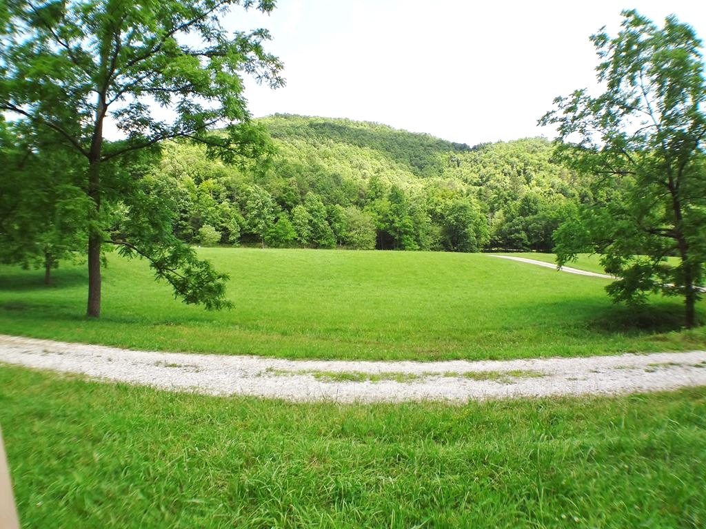 Franklin, North Carolina 28737, ,Acreage,For Sale,10535