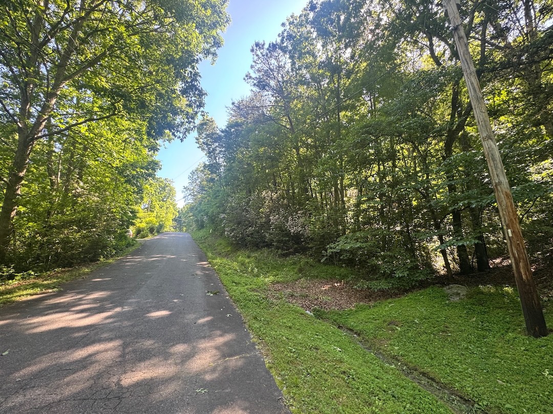 Franklin, North Carolina 28734, ,Acreage,For Sale,10536