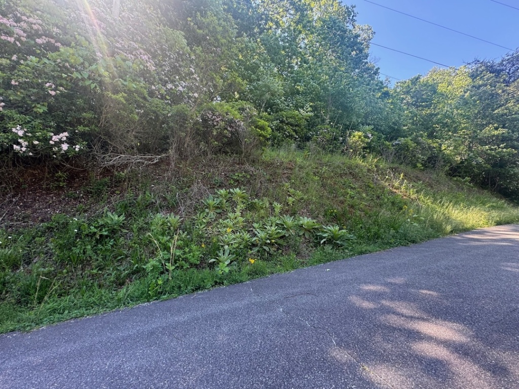 Franklin, North Carolina 28734, ,Acreage,For Sale,10536