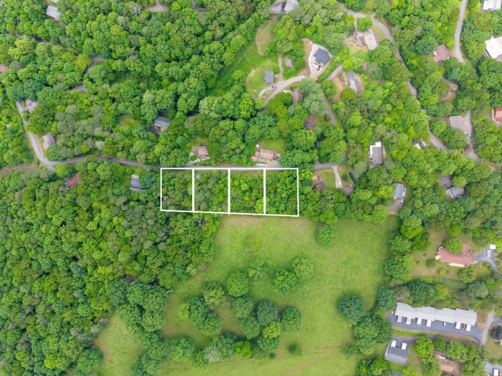 Franklin, North Carolina 28734, ,Acreage,For Sale,10536