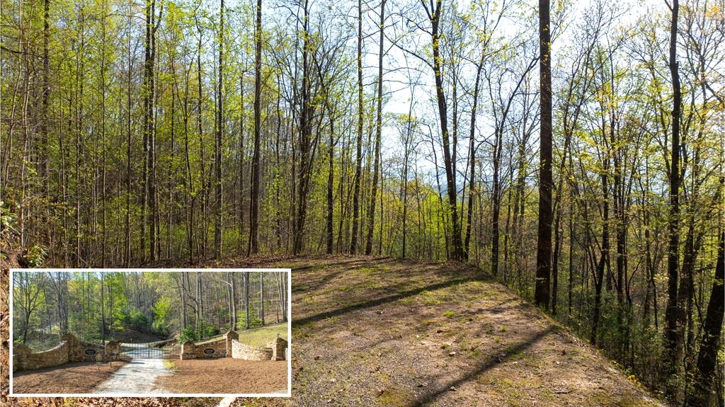 Franklin, North Carolina 28734, ,Acreage,For Sale,10537