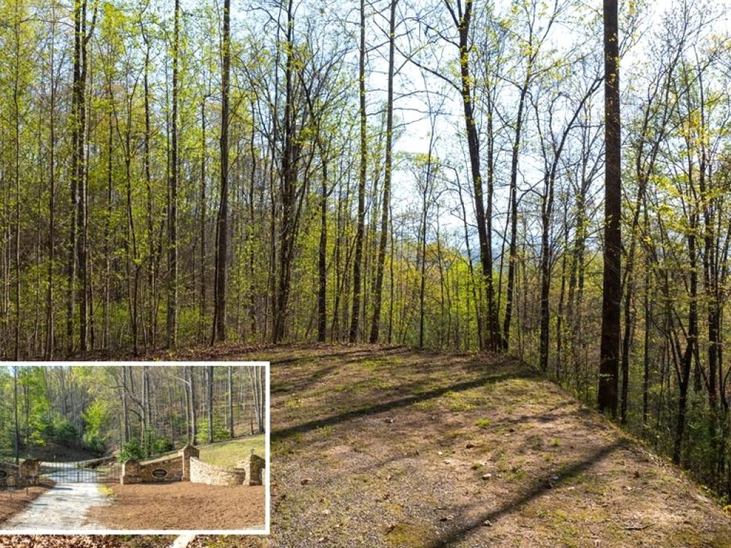 Franklin, North Carolina 28734, ,Acreage,For Sale,10537