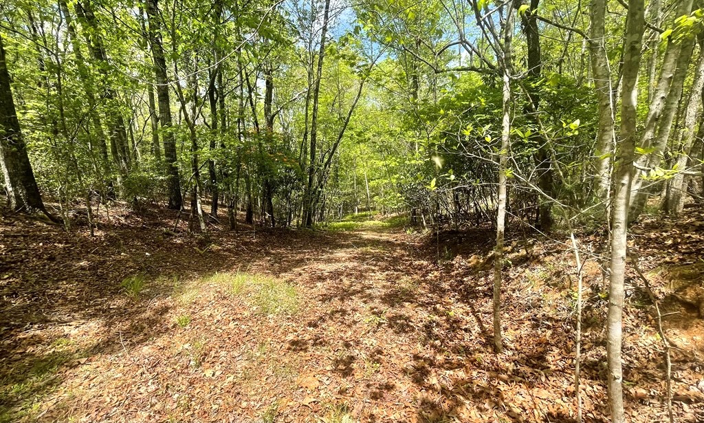 Franklin, North Carolina 28734, ,Acreage,For Sale,10547