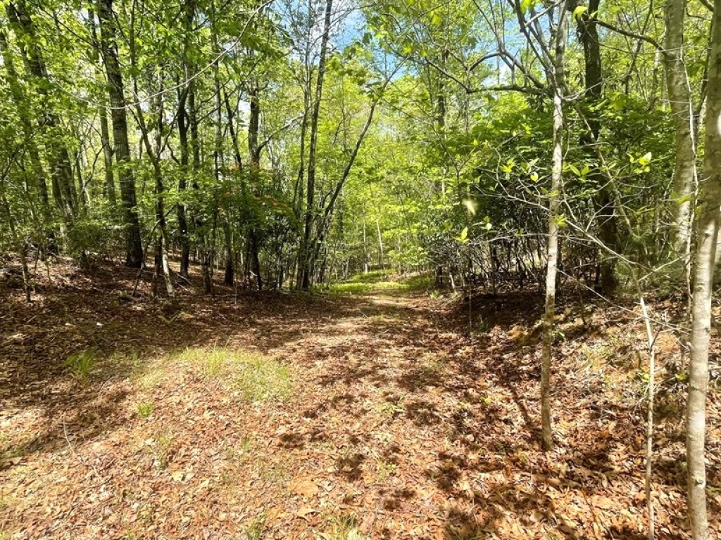 Franklin, North Carolina 28734, ,Acreage,For Sale,10547