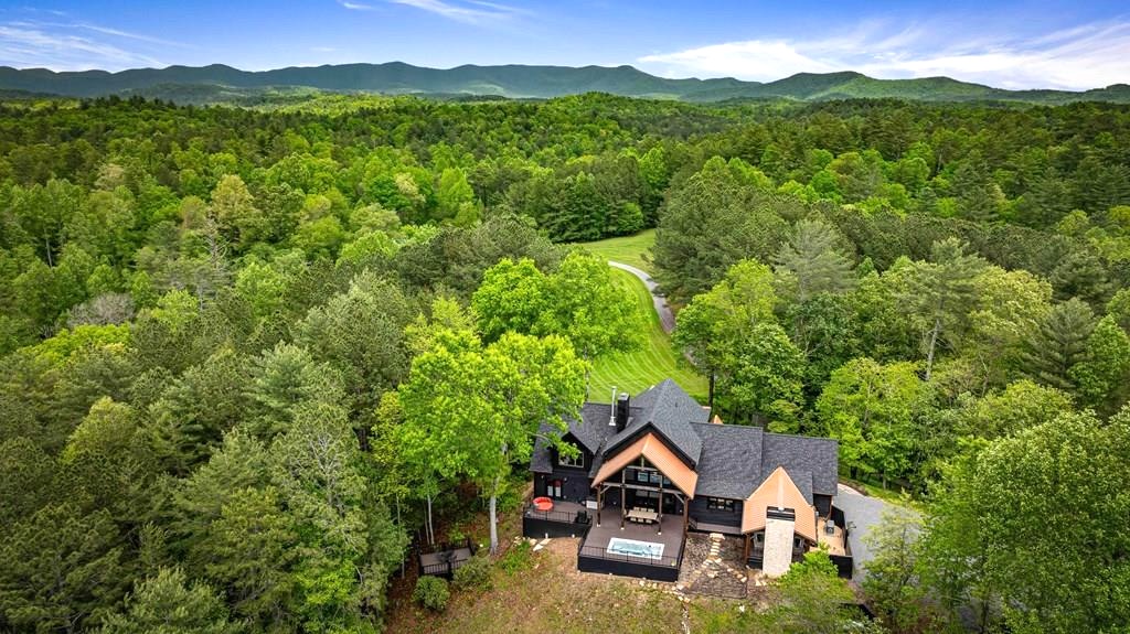 Ellijay, Georgia 30540, 4 Bedrooms Bedrooms, ,4.5 BathroomsBathrooms,Residential,For Sale,10552