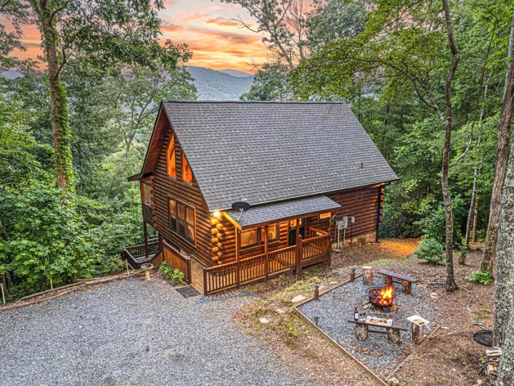 Cherry Log, Georgia 30522, 2 Bedrooms Bedrooms, ,1.5 BathroomsBathrooms,Residential,For Sale,10559