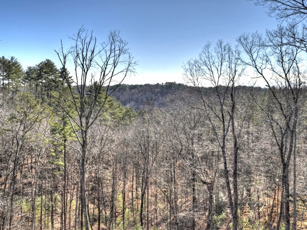 Ellijay, Georgia 30540, 3 Bedrooms Bedrooms, ,2 BathroomsBathrooms,Residential,For Sale,10563