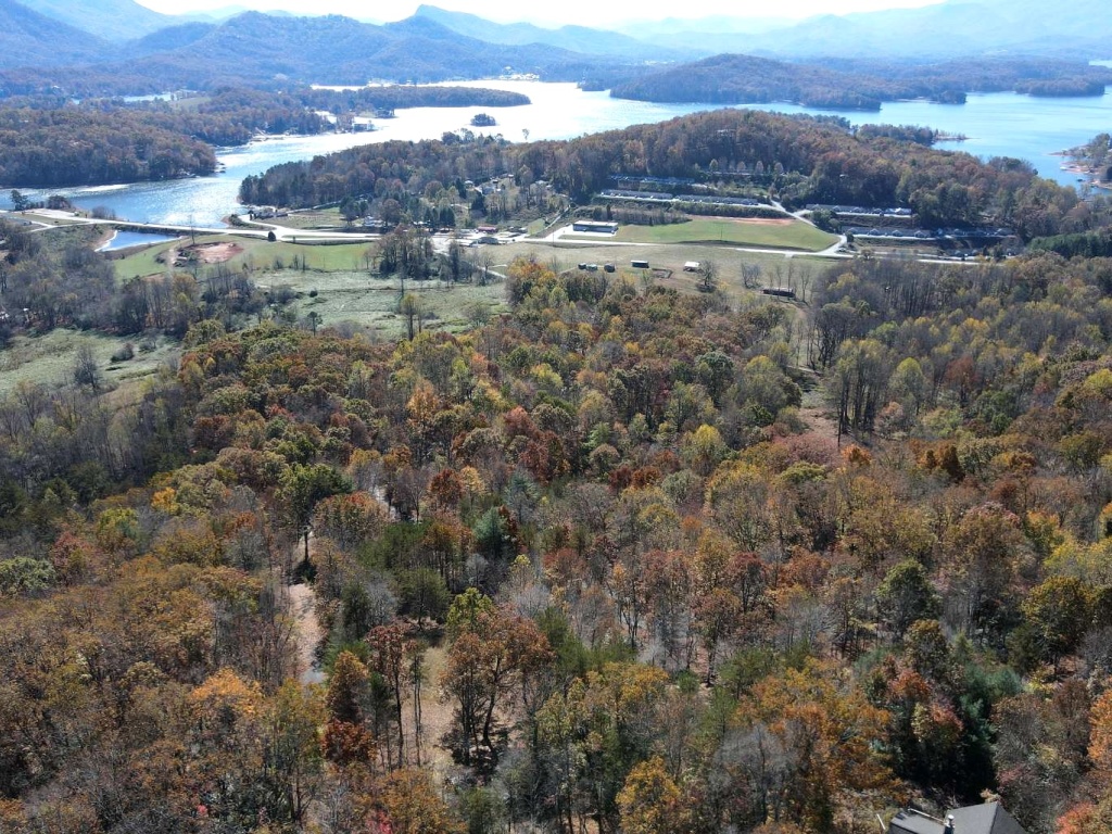 Hayesville, North Carolina 28904, ,Acreage,For Sale,10568