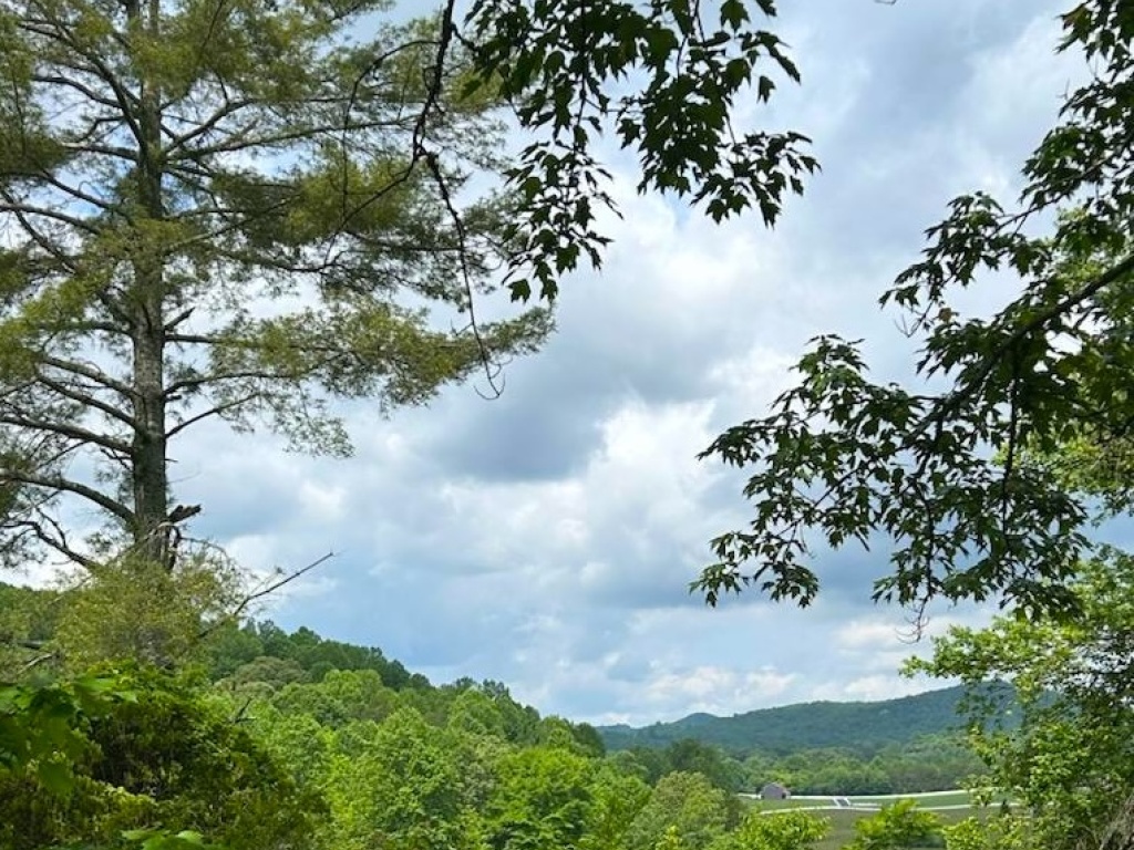 Hayesville, North Carolina 28904, ,Acreage,For Sale,10573