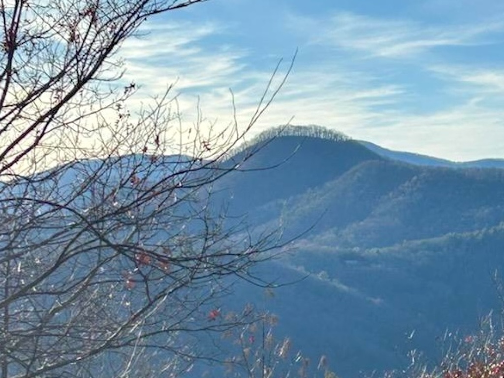 Hiawassee, Georgia 30546, ,Acreage,For Sale,10574