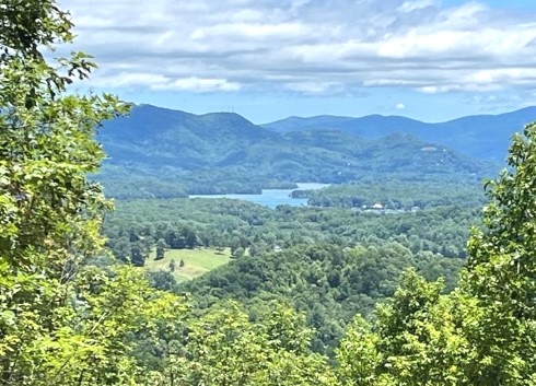 Hayesville, North Carolina 28904, ,Acreage,For Sale,10578