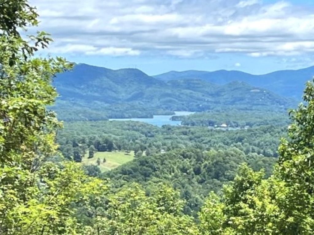Hayesville, North Carolina 28904, ,Acreage,For Sale,10578