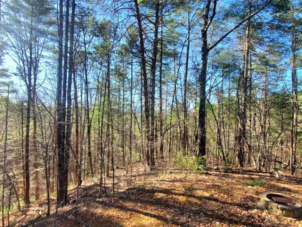 Reliance, Tennessee 37369, 2 Bedrooms Bedrooms, ,2 BathroomsBathrooms,Residential,For Sale,10584