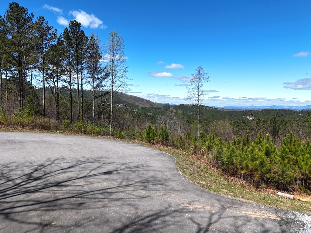 Blairsville, Georgia 30512, ,Acreage,For Sale,10586